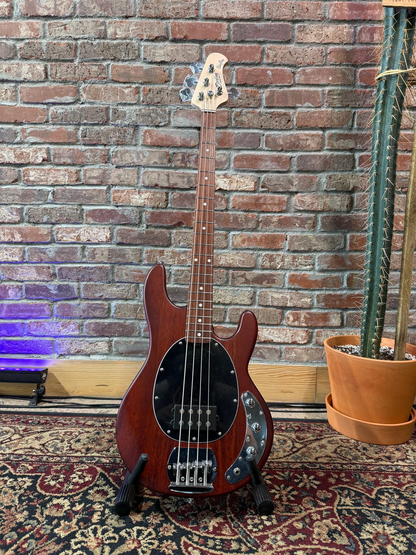 Sterling By Music Man Stingray Ray4 Bass - Walnut Satin