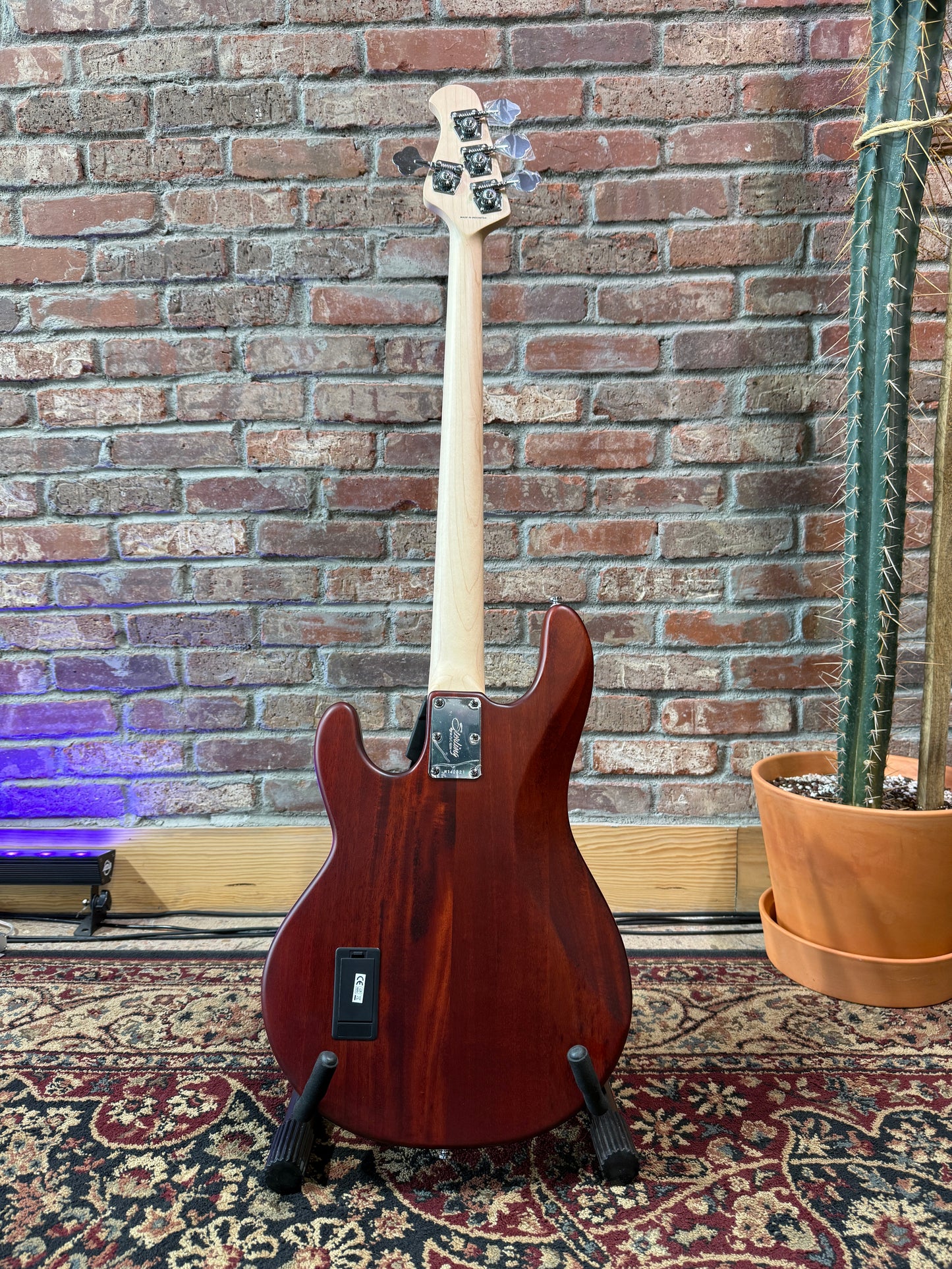 Sterling By Music Man Stingray Ray4 Bass - Walnut Satin