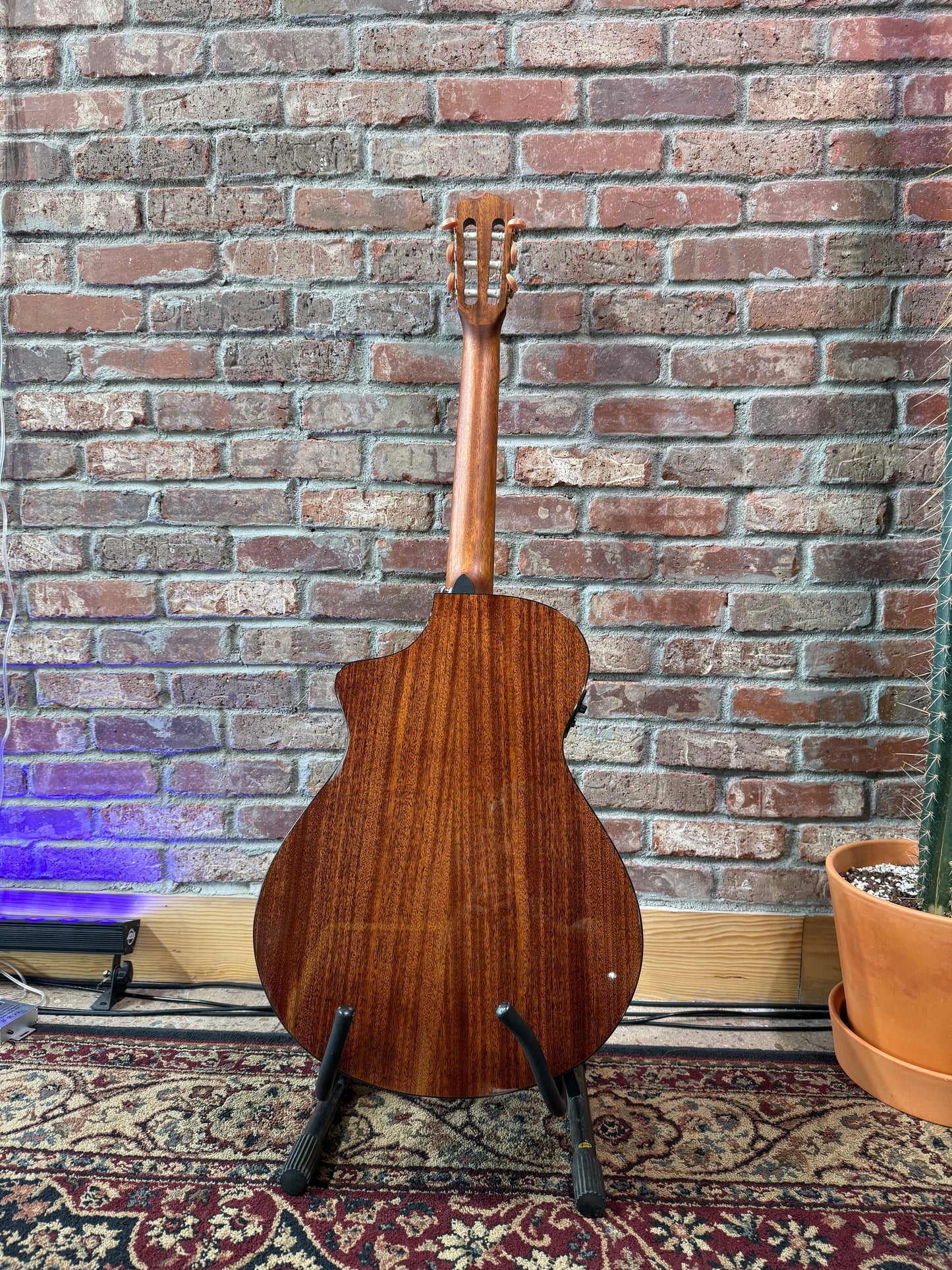 Breedlove Discovery S Concert Nylon CE - Cedar/Mahogany
