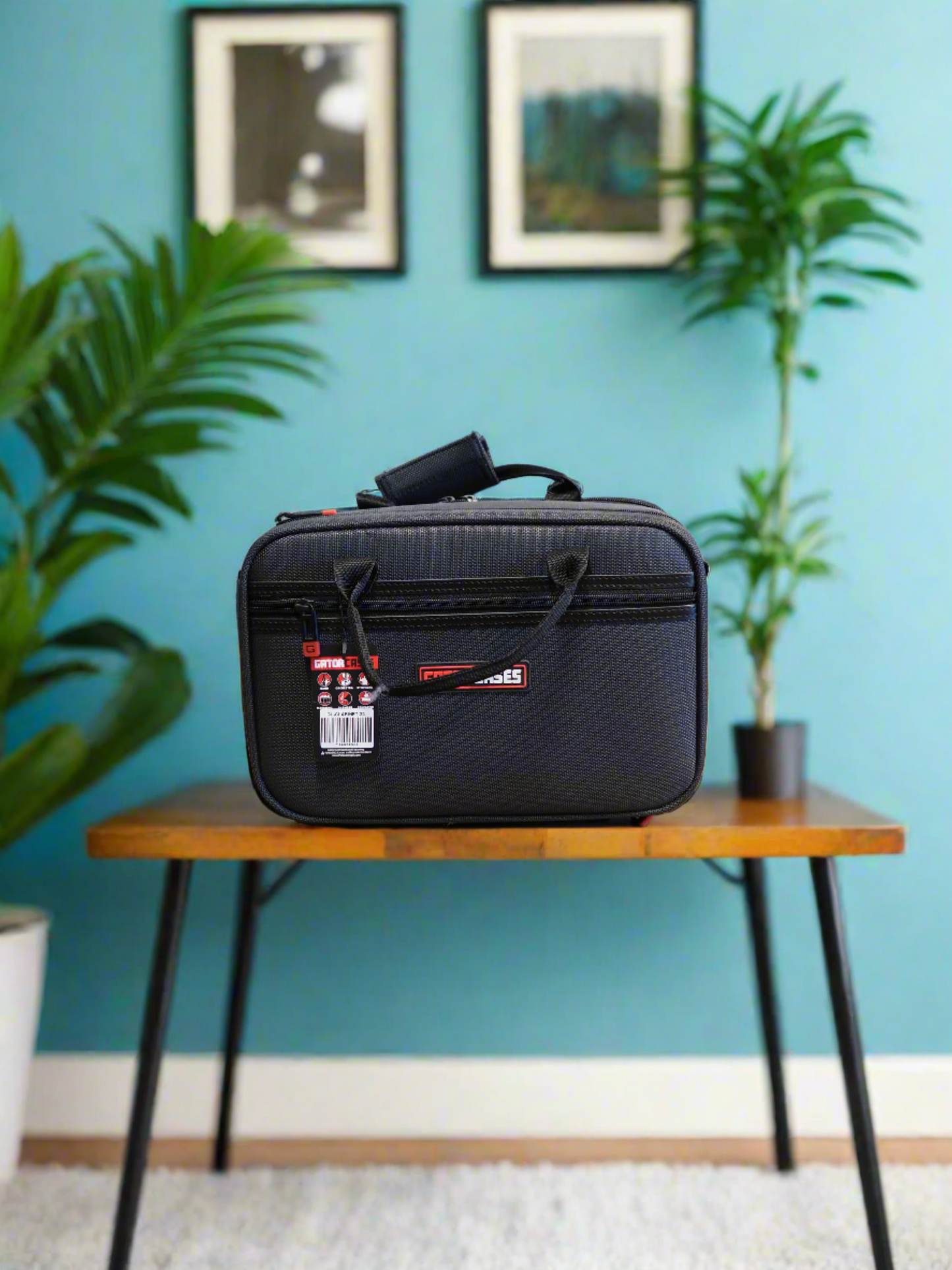Gator Clarinet Case