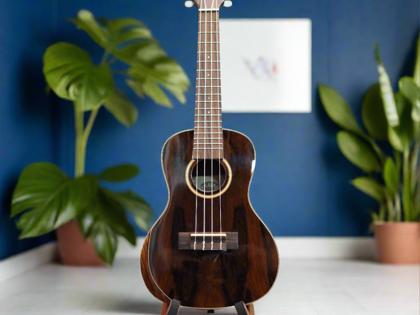 Kala Premier Exotic Concert Ukulele (Bocote - Bocote)