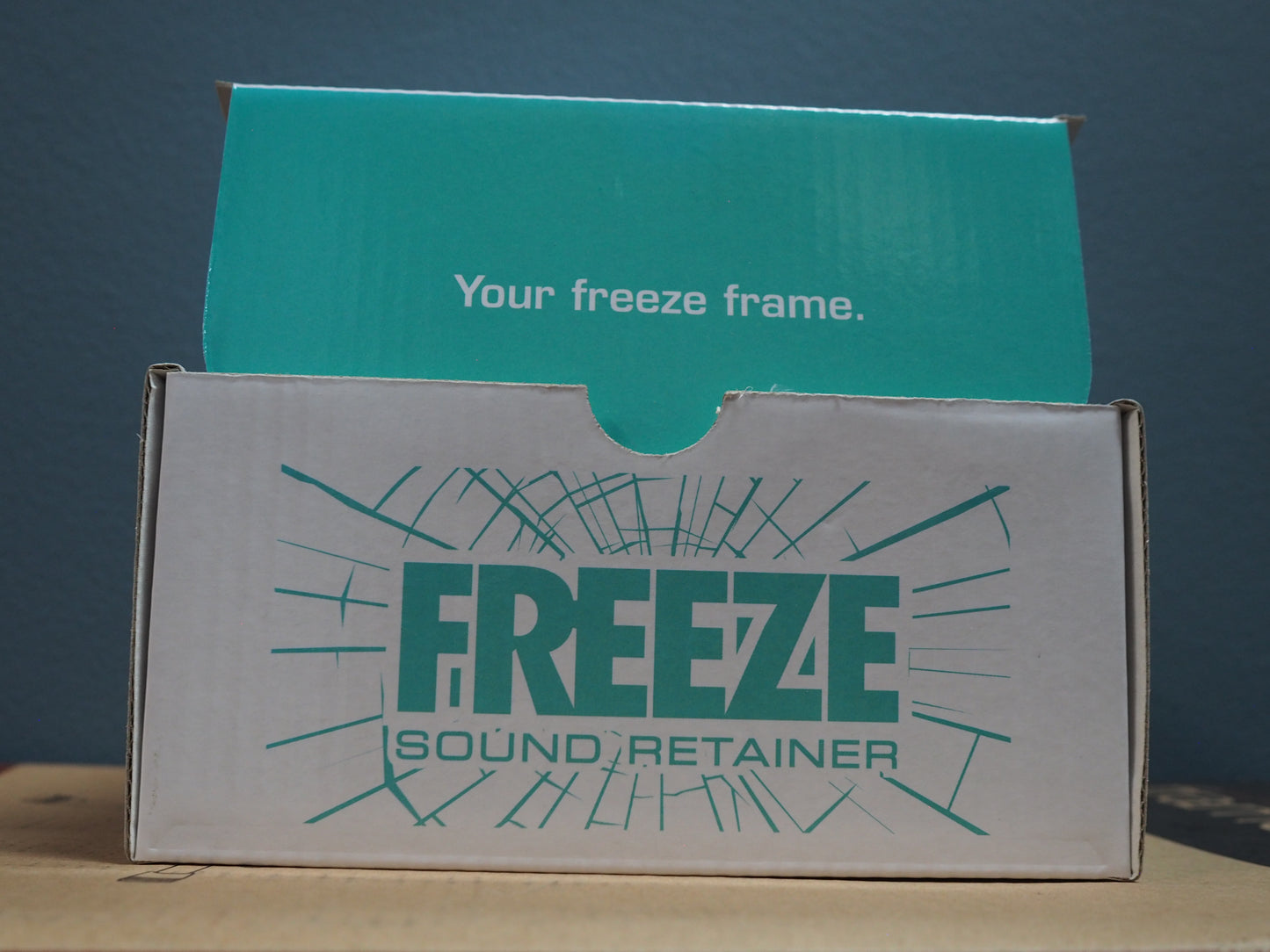 Electro Harmonix Freeze Pedal