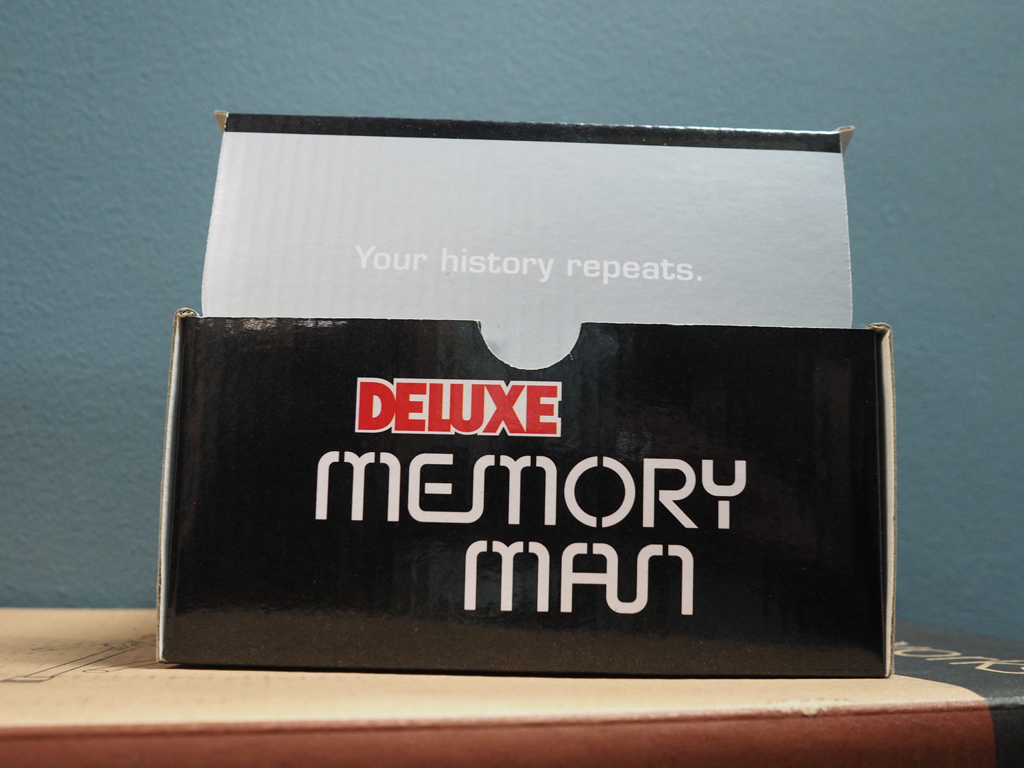 Electro Harmonix Deluxe Memory Man Pedal