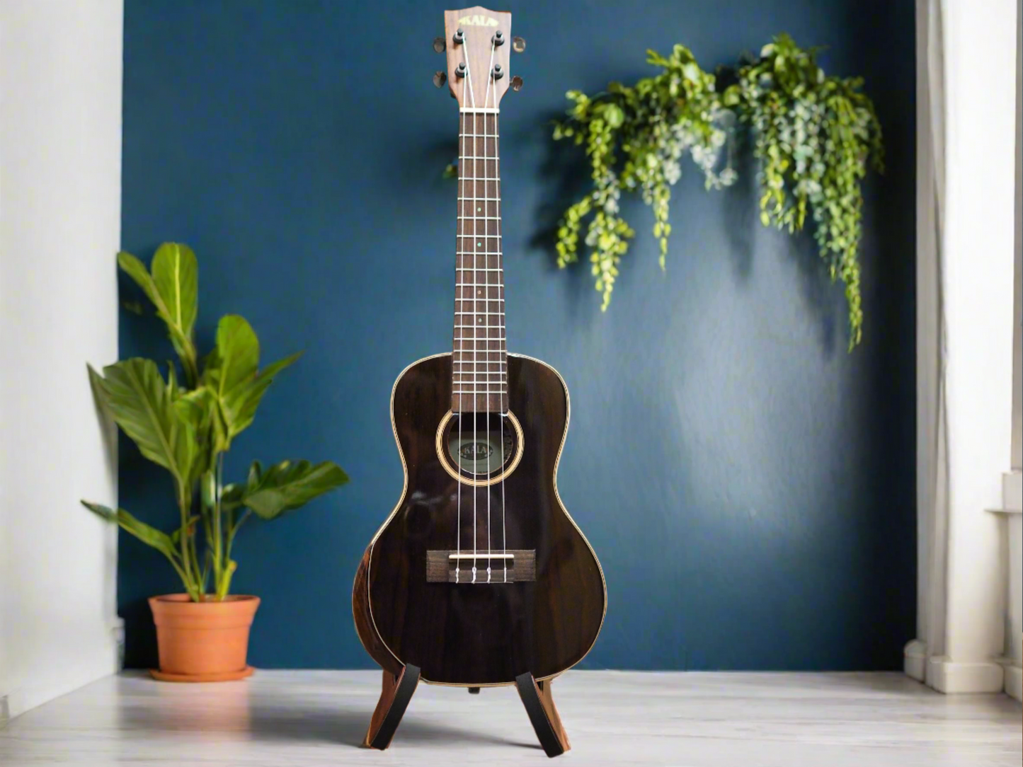 Kala Premier Exotic Concert Ukulele (Ziricote - Ziricote)