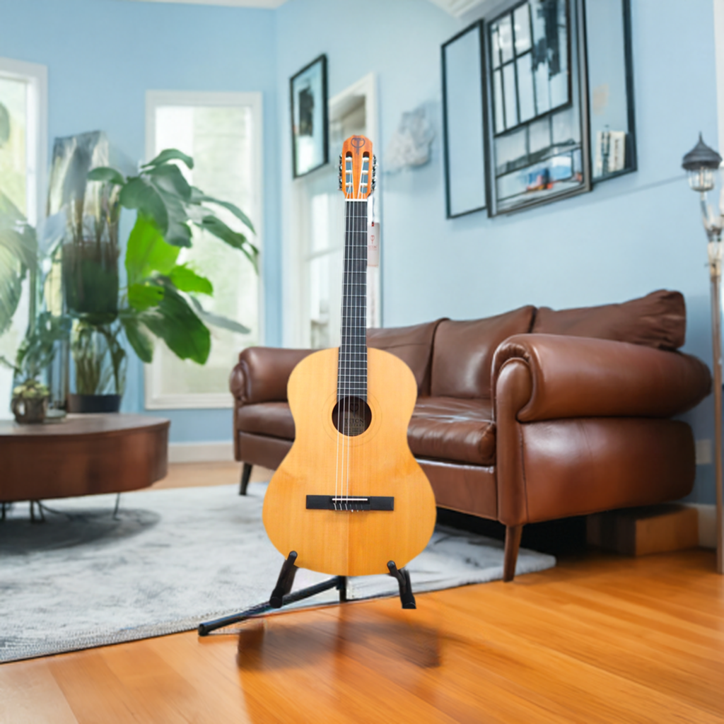 Teton STC10NT Classical Guitar (Spruce - Mahogany)