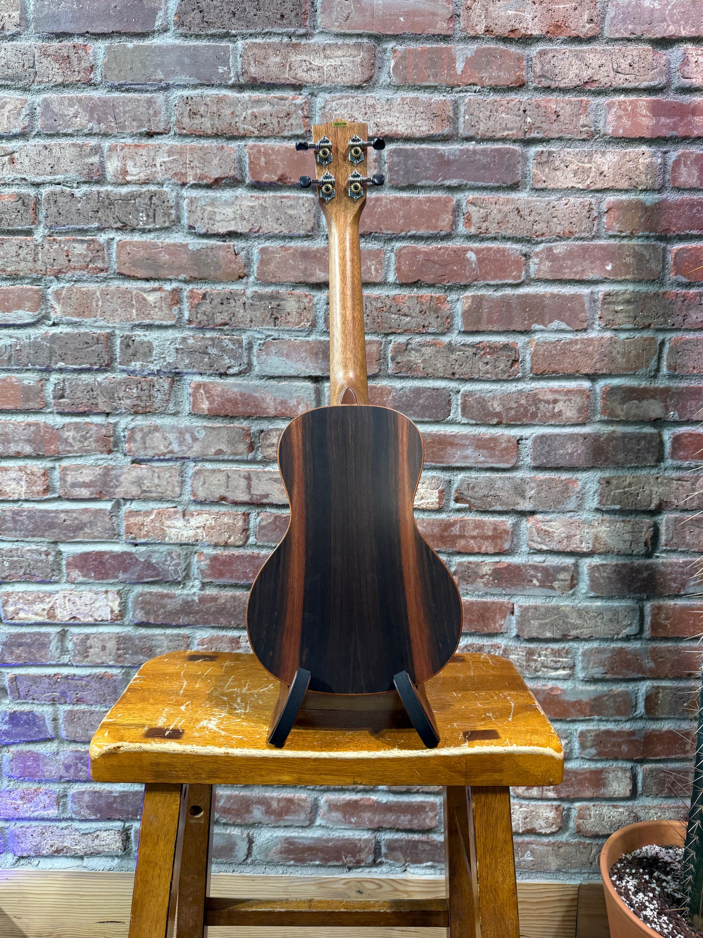 Kala Ebony Concert Ukulele - Solid Spruce/Ebony