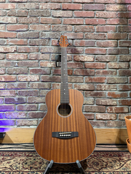 Stagg Grand Auditorium Concert Acoustic Guitar